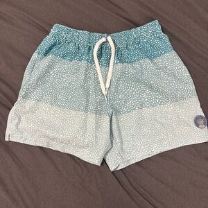 Chubbies Teal and White Patterned Swim Shorts